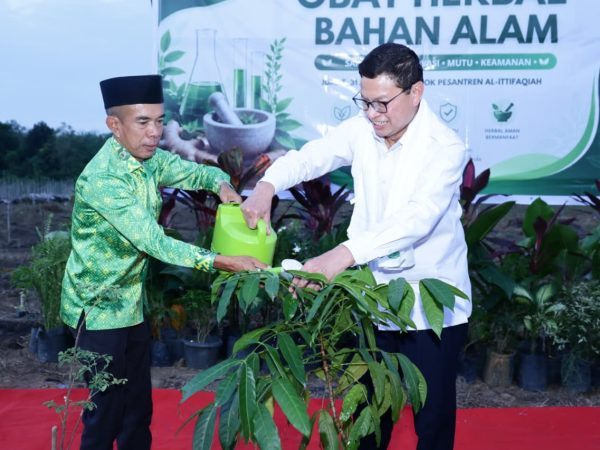 Perkuat Kemandirian Obat Alam: BPOM RI Resmikan Pusat Penanaman Tanaman Herbal di Ittifaqiah Indralaya